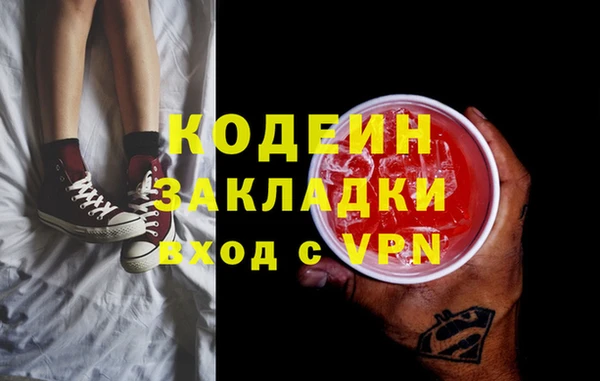 хмурый Алексин