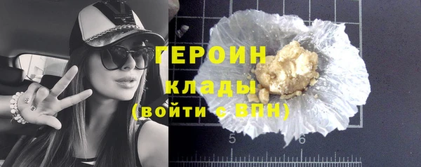хмурый Алексин