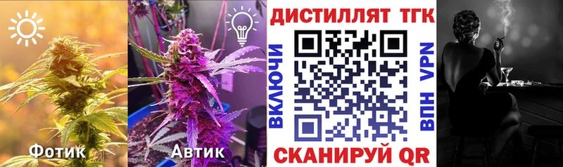 Купить где  Спас-Деменск  ТГК гашишное масло 
